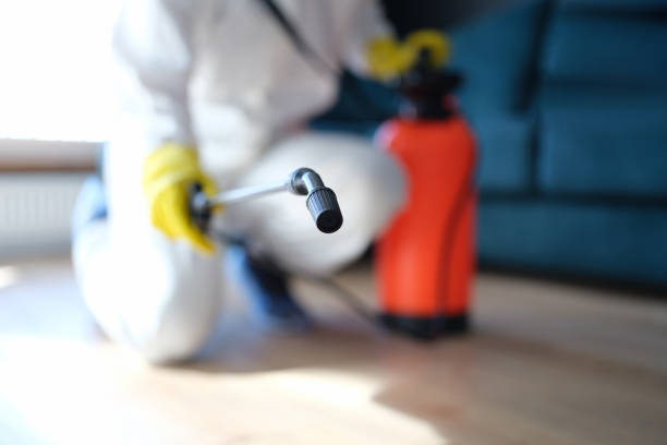 Best HVAC Mold Inspection and Cleaning  in Decatur, MI