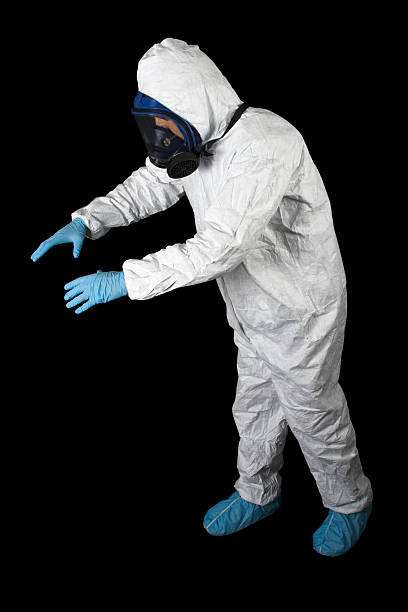 Professional Mold Removal in Decatur, MI