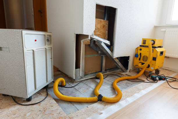 Best Industrial Mold Remediation  in Decatur, MI