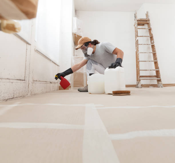 Best Indoor Air Quality Assessment  in Decatur, MI