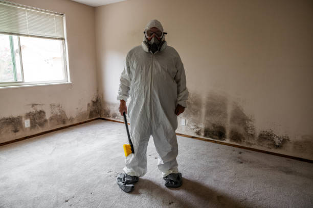 Best Air Quality Testing for Mold Spores  in Decatur, MI